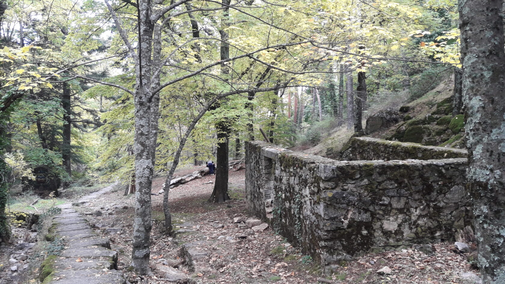Ruta San Lorenzo del Escorial: cumbres de la Sierra de Malagón.