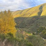 Salida al Camín Real y Lagos de Saliencia (Asturias).