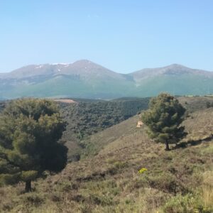 SALIDA BTT TARAZONA Y ALREDEDORES