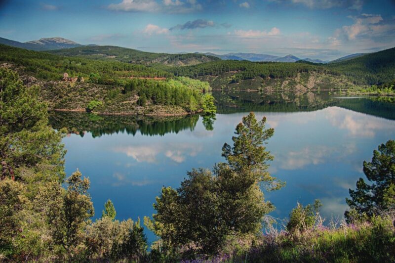 Infantil: El Vado-La Vereda