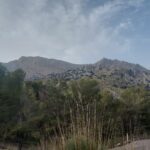 PICO DEL NEVERO ( 2.211 m)